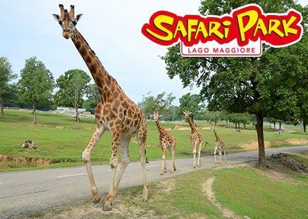 biglietti per pombia safari park